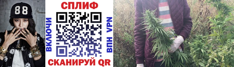 Каннабис марихуана  это Telegram  Карачаевск  купить  